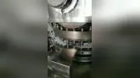 Zp29d Custom Pill Presser Machinery Vitamin C Effervescent Tablets Press Making Machine Rotary Automatic Pill Tablet Making Equipment Machine